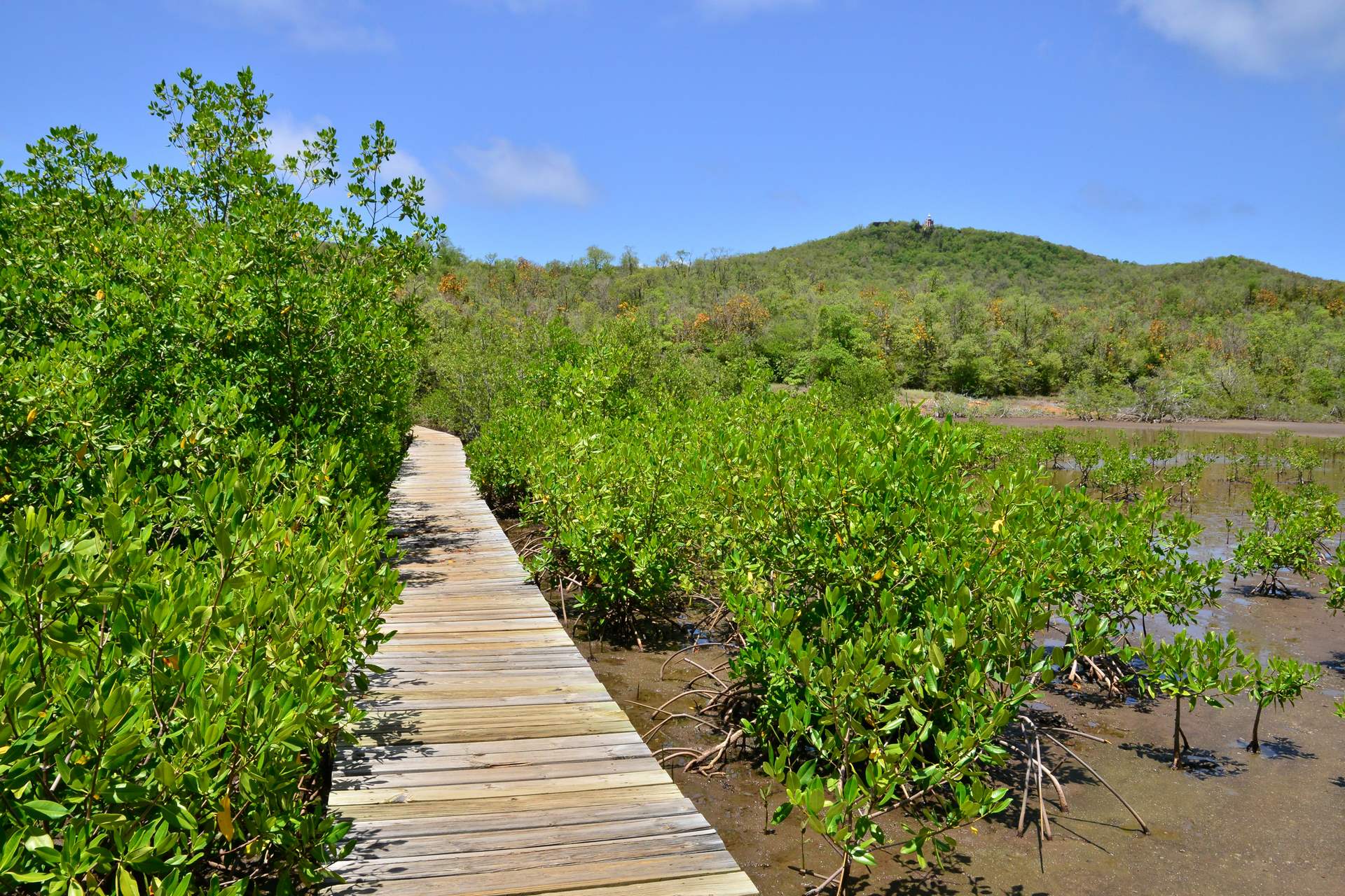 leclerc voyage autotour martinique