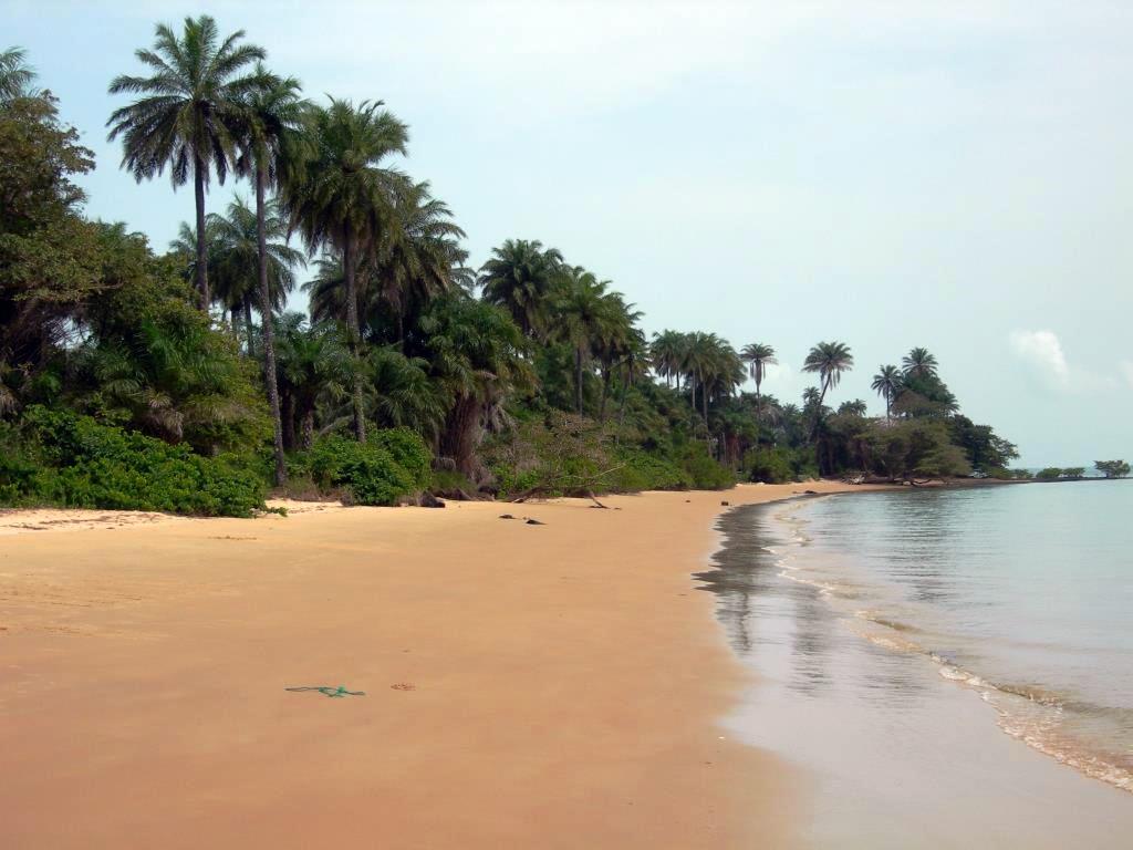 Sénégal - Circuit Les Mangroves