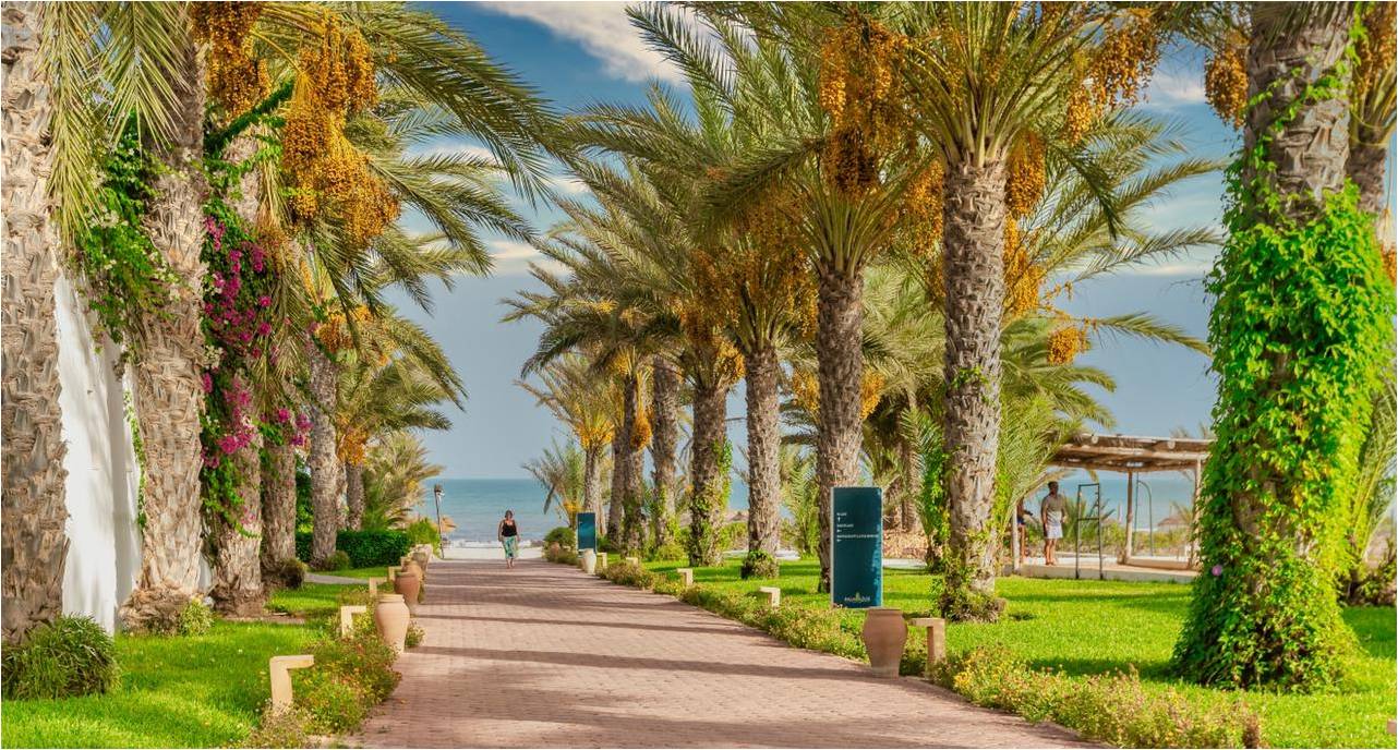 Tunisie - Djerba - Naya Club Palm Azur 4*