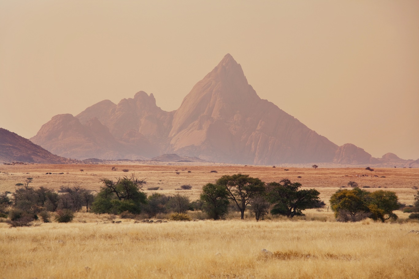 Afrique du Sud - Namibie - Circuit Safaris et Dunes